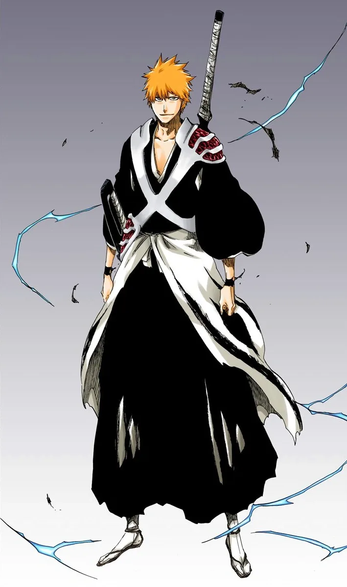 Ichigo Kurosaki Bankai form full body Shinigami uniform reference