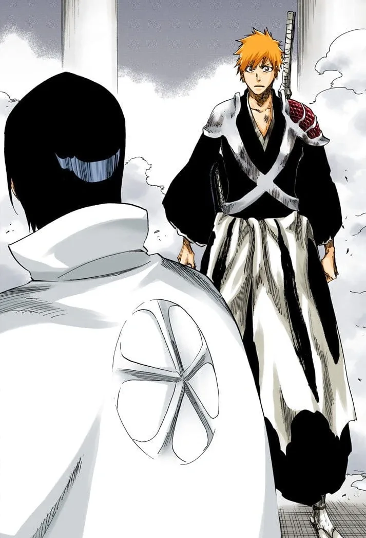 Ichigo Kurosaki Bankai form full body Shinigami uniform reference